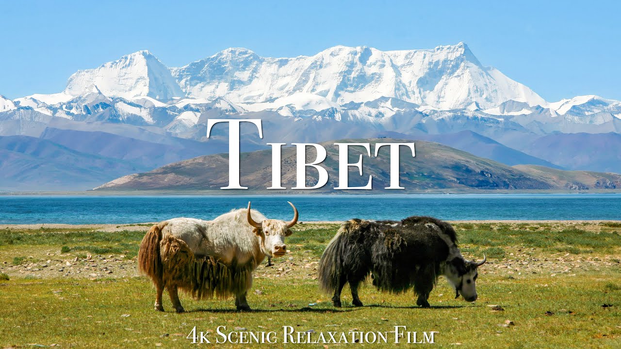 Bhutan landscape