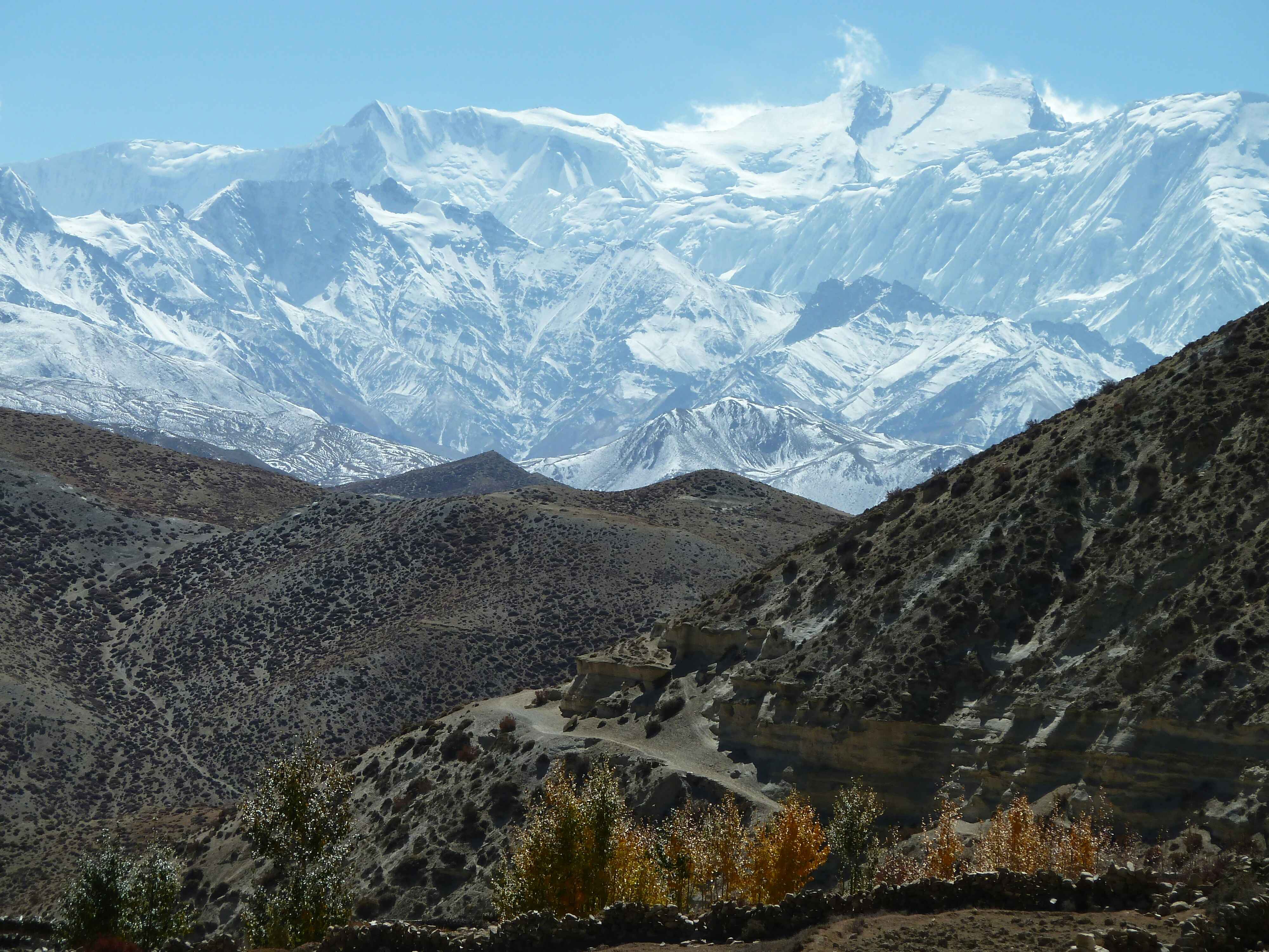 Why Choose Nepal for Your Next Horseback Adventure?