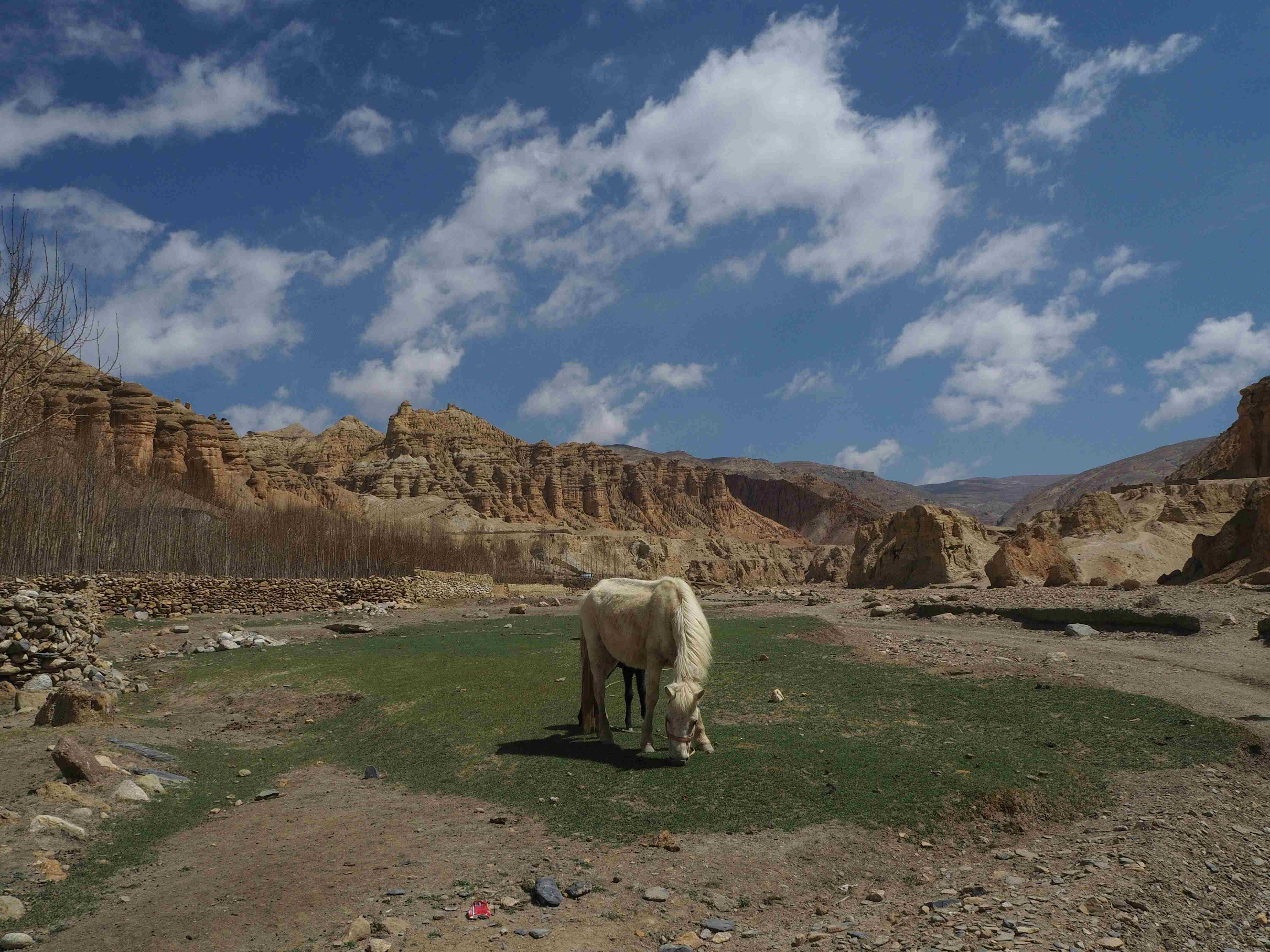 20 Days Horse Trek Through The Forbidden Kingdom of Upper Mustang, Nepal